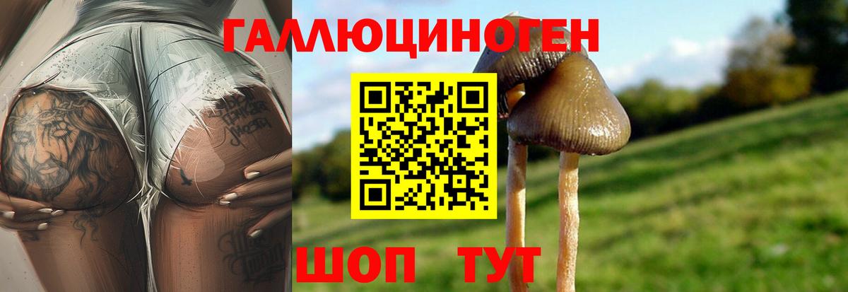 Галлюциногенные грибы прущие грибы  Вход с VPN  Ишимбай 